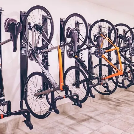 On Americas 美洲海滩